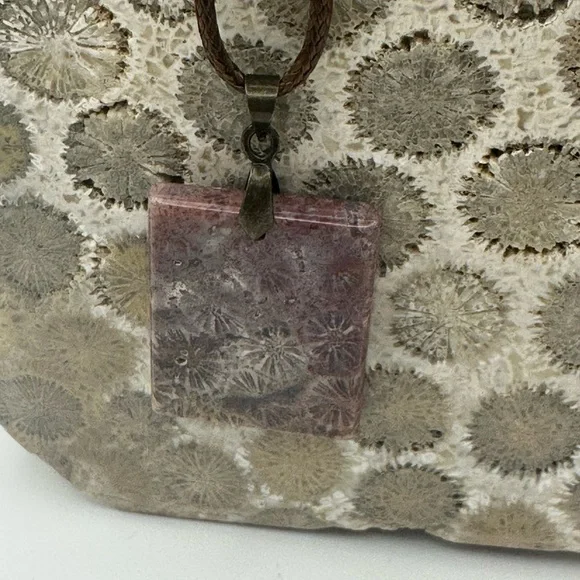 Rectangle Coral Fossil Pendant Necklace - Picture 9 of 14